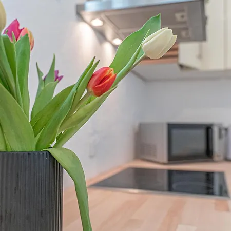 Apartment Wesseling * ווסלינג